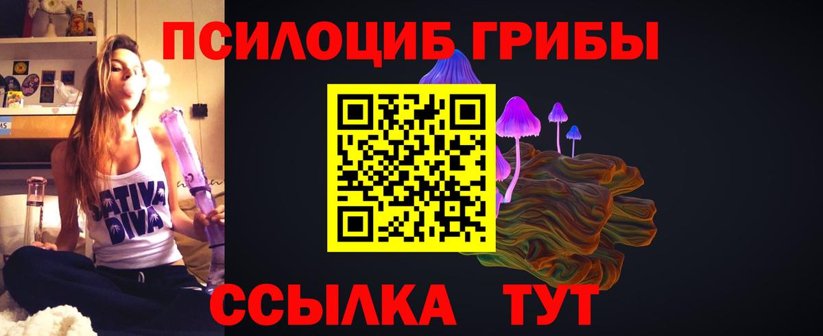 Псилоцибиновые грибы Cubensis Черняховск